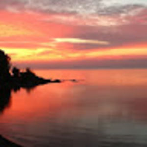 Meet your Posher, Carole